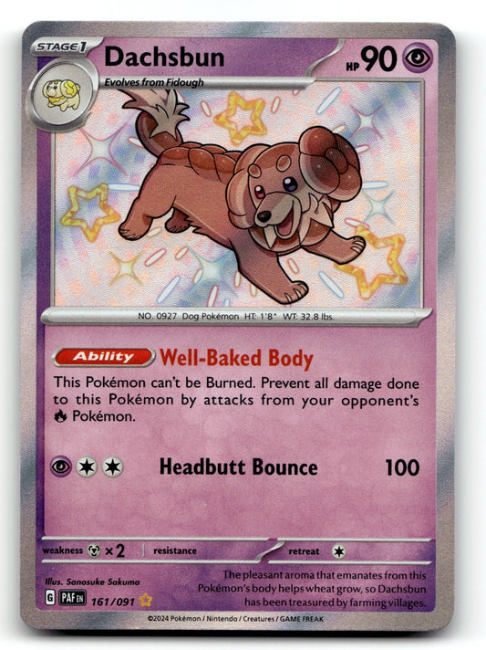 Dachsbun Holo Shiny Rare SV: Paldean Fates 161/091 NM